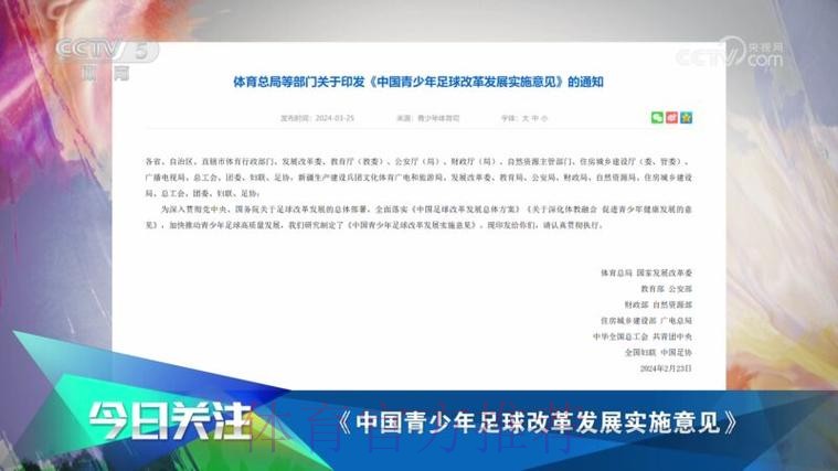 一张图了解《中国足球改革发展总体方案》印发一周年都做了啥? 一张图了解《中国足球改革发展总体方案》印发一周年都做了啥?